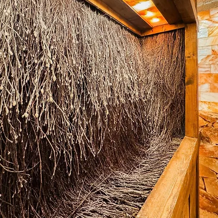 Sandy 2 Sanddunes Sauna Grota Solna Bawialnia Silownia *